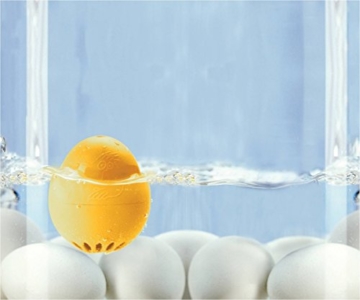 Gute Laune PiepEi rose in Panoramabox (Killine Me Softly, That's the Way I Like It, Oh Happy Day) - 