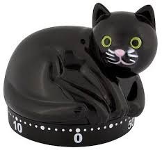 Pylonen 38, Timer Katze - 1